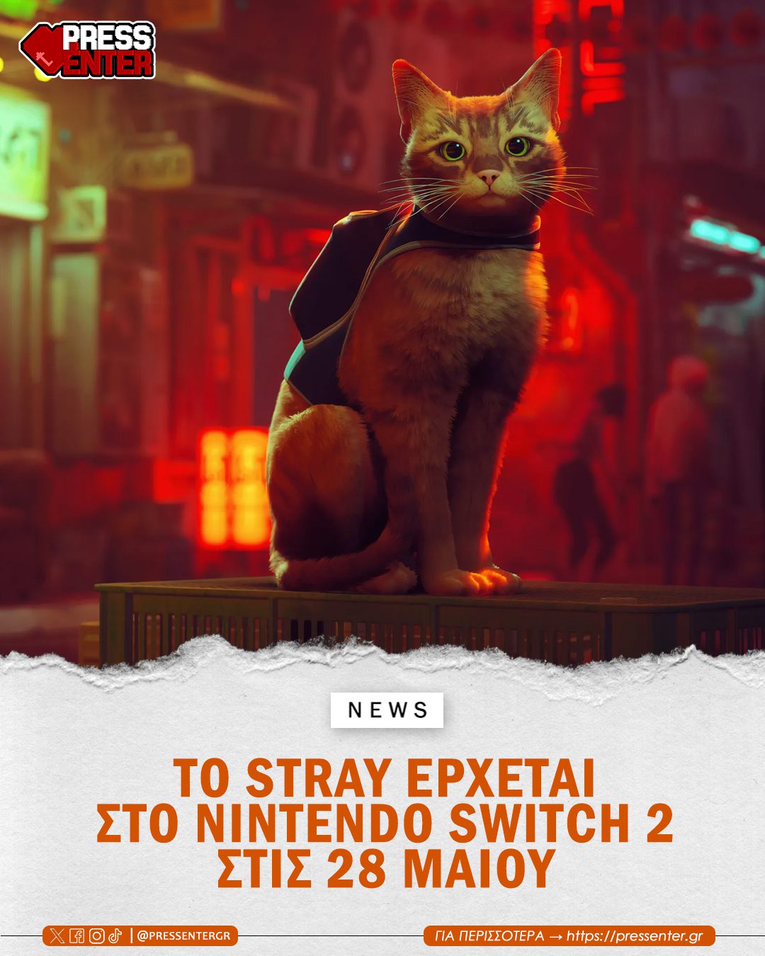 Stray cat in neon-lit cyberpunk alley (Nintendo Switch 2)